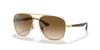 ARISTA 56 Sunglasses RB3683 Ray-Ban
