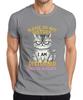 Please Do Not Disturb I Am Disturbed Grumpy Cat Sarcastic Gift Unisexs TShirt