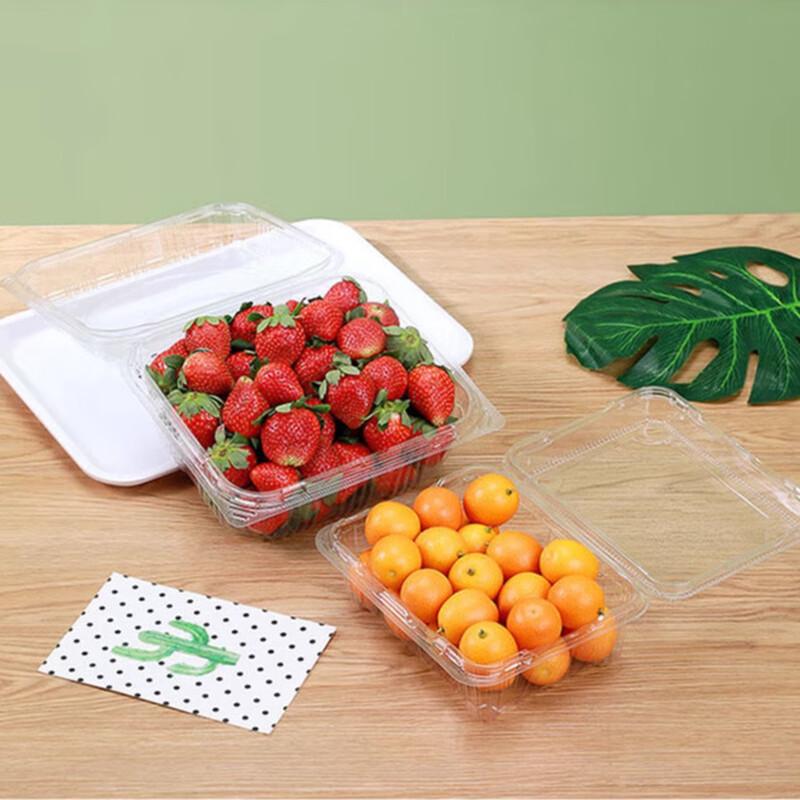 ZISIZ Thickened Disposable Fruit Packaging Boxes