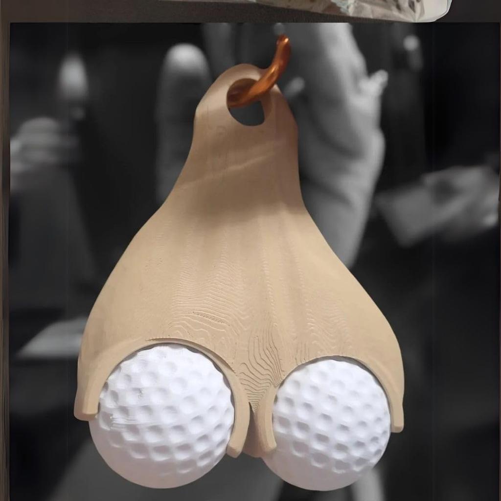 RICHAR Golf Ball Case Folder Lightweight Thin Removable Fun Item