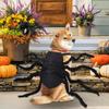 Pet Spider Costume Puppy Halloween Spider Cosplay Costumes Spooky Pet Cosplay Outfit Dress Up Accessories For Puppy Event Party