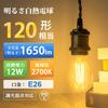 DiCUNO LED Bulbs, E26 Base, Warm White, 120W Equivalent, Edison 12W Filament Bulb, 1650lm, 2700k, Standard Bulb Shape, Clear, Energy Saving,