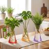 5Pcs Shatterproof Clear PVC Flower Vase Folding Plant Containers Easy To Clean Expandable Vase  Room
