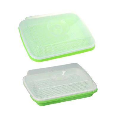 Sprouter Tray with Cover Sprouter Dish Growing Box Household Plant Nurserys