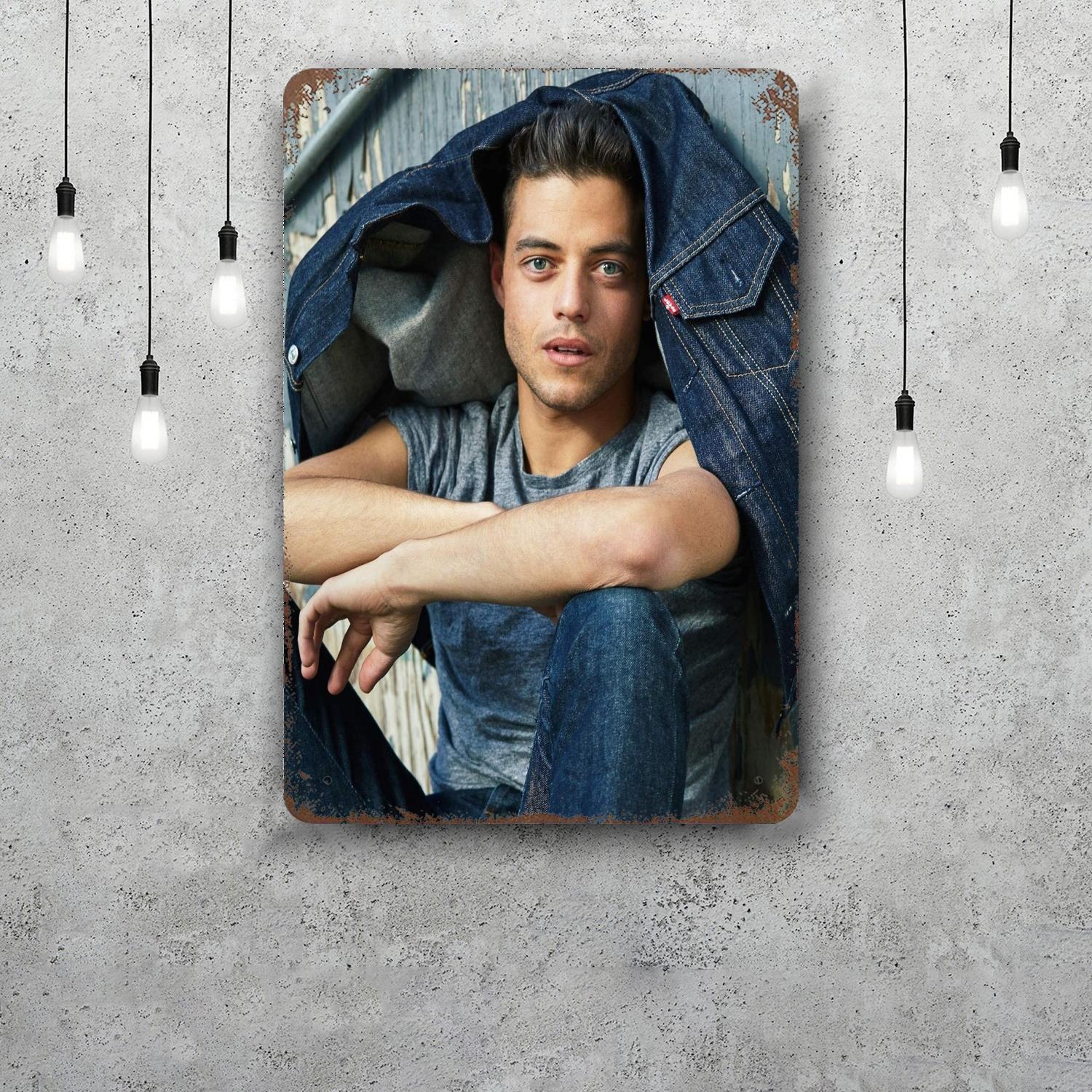 

rami malek actor Vintage Metal Tin Signs Posters Decor Retro Metal Plaque Wall Art Decor for Garage Bar 20x30cm（7.8x11.8inch）