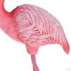 Elegant Flamingo Shape Ornaments For Gift Lovers