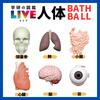 Set of 5 Gakken Illustrated Live Human Body Bath Balls with Thank You Includes a Mascot and Perfect for Bath Carbonated Bath and a Mini Illustrated