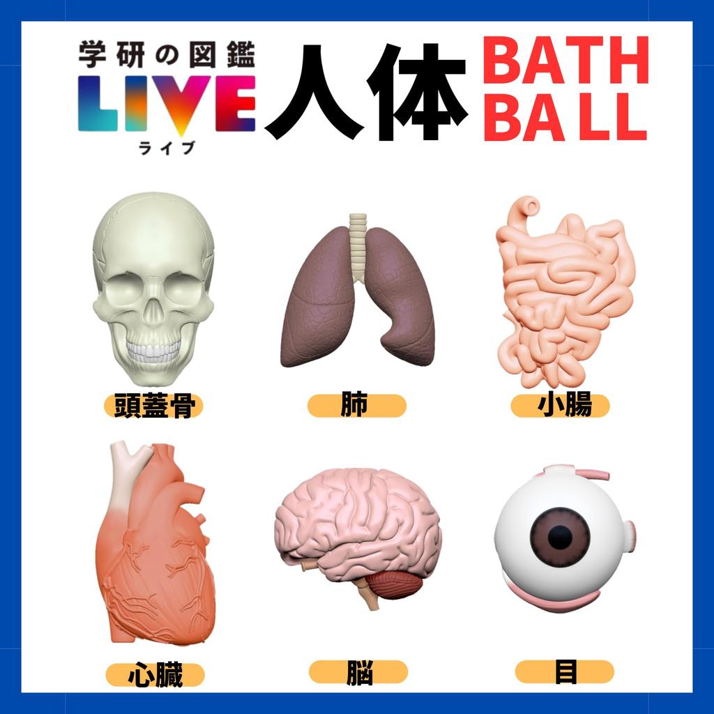 Set of 5 Gakken Illustrated Live Human Body Bath Balls with Thank You Includes a Mascot and Perfect for Bath Carbonated Bath and a Mini Illustrated