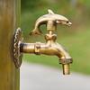 Rubinetto da Giardino Retrò Ottone Antico Scuola Materna Montaggio a Parete Animale Rubinetto Acqua Fredda Rubinetto per Lavabo