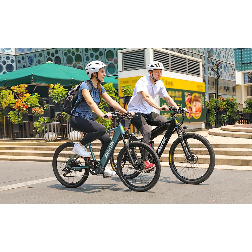 GT900 Mountain Bike da Donna 26 Pollici E-Bike Telaio in Acciaio Inossidabile Motore Brushless 250W Freno a Disco Doppio Forcella Ammortizzata 21 Velocità