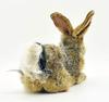 BH6284 HANSA Black-tailed Rabbit 25