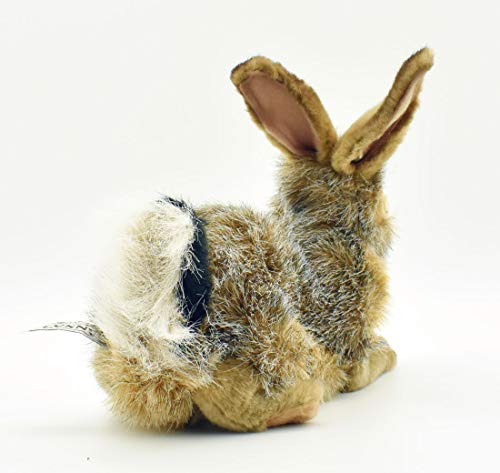 BH6284 HANSA Black-tailed Rabbit 25