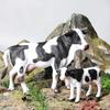 Oenux 2-Pieces Set Of Large Farm Animal Horse Cow Pig Sheep Goat Donkey Model Action Figures PVC Educational Cute Kids Toy Gift