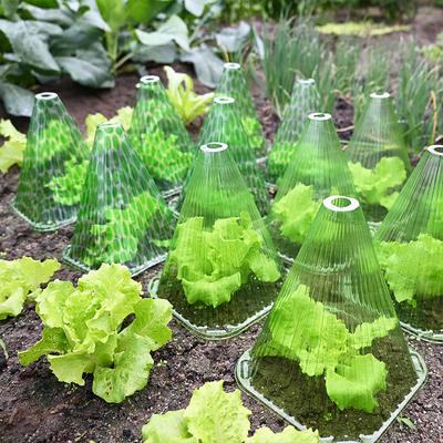 Plant Protective Cover Vegetable Garden Supplies Accessories Snail Collar Seedling Caps Agricultural Mini Greenhouse Tools