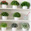 Artificial Bonsai Green Plants for Desk and Living Room Decoration