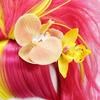 Double-Toned Yellow Pink Gradient Long Curly Synthetic Wig with Floral Hairpiece,Wavy Hairstyle for Cosplay Party Costume Event