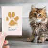 Pet Paw Print Memorial Tabletop Decoration for Cats and Dogs
