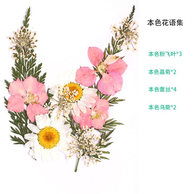 

Dried Flower Transparent Bookmark Handicraft DIY Material Collect Flowers Leaves Specimen Plastic Packaging Film Glass Creative Bookmarks K Color Flower Language Collection (11 Flowers)