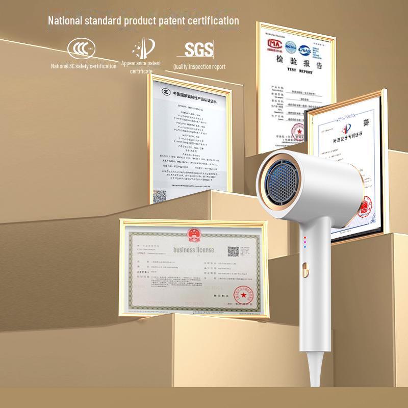 High-Power Ionic Hair Dryer with Blue Light for Home & Salon Use