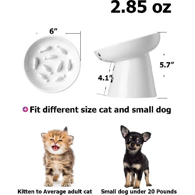 Y YHY Slow Feeder Cat Bowl, Ceramic Cat Slow Feeder Bowl, 6 Inches, Elevated, Anti Vomiting for Dry and Wet Food, White