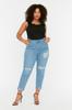 Women's Style Plus Size Light Blue Ripped Detailed High Waist Skinny Jeans
