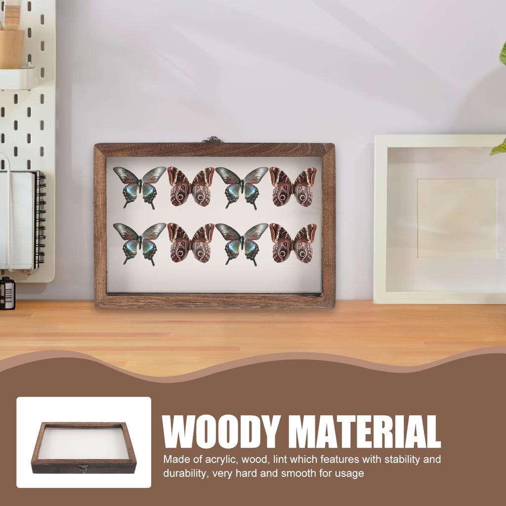 Schmetterlings-Proben-Display-Box, Ständer, Insektenbehälter, Schmetterlinge, Fall, Holzschaukasten, Flanellhalter, Pin
