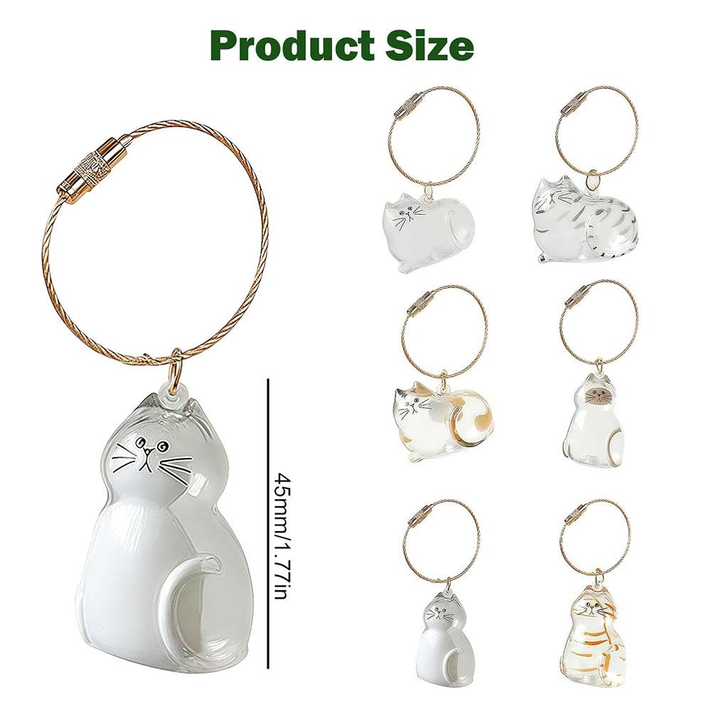 6pcs Transparent Acrylic Cat Hair Storage Keyring