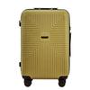 Wings Pc Eco Jackdaw 24" Tea Green Medium Suitcase