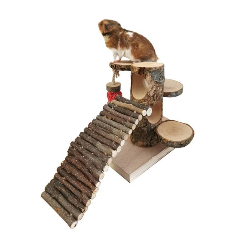 Safe and Engaging Climbing Ladder Toy for Hamster Suitable for Creating a Stimulating Environment for Exercise Top Sale