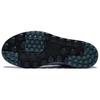 Nike C1TY Low top Skateboard Shoes Men's Gray FZ3863-019