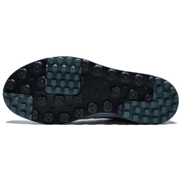 Nike C1TY Low top Skateboard Shoes Men's Gray FZ3863-019