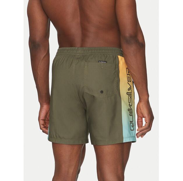 Шорты Quiksilver EQYJV04136