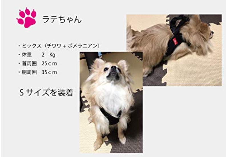 Anifull Anisapo Harest Black L Size