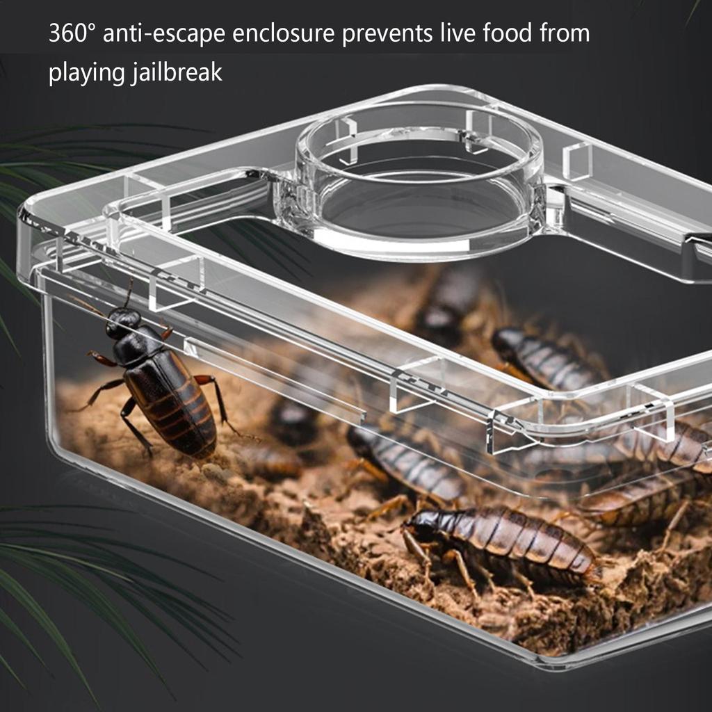 1PC Reptile Lizards Geckos Feeding Bowls Anti Overturning Prevent Tenebrio Molitor and Blaptica Dubia Trough Feeder Anti Escape