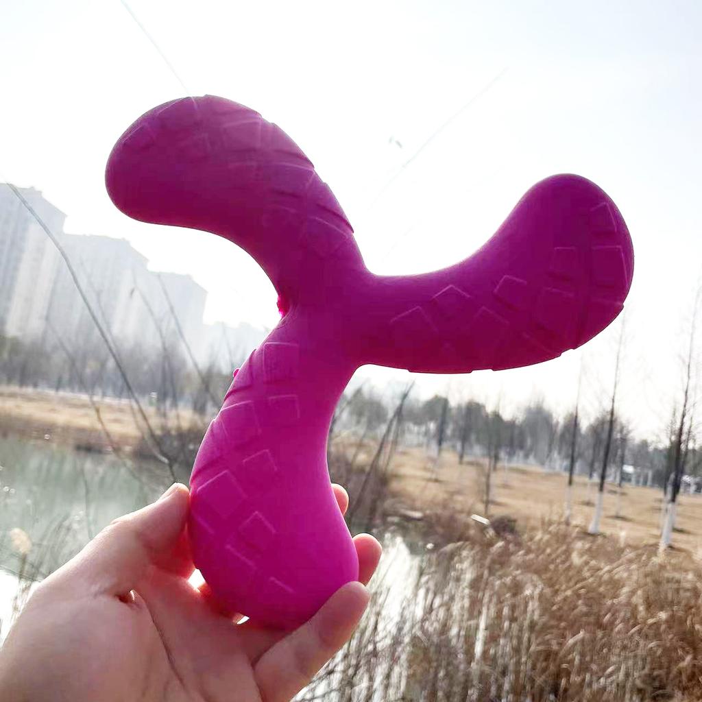 Fun Pet Toy Water Floating Triangle Boomerang For Dogs Puppy Squeaker Squeaky Molar Dog Toy Pet Training Dog Accessories