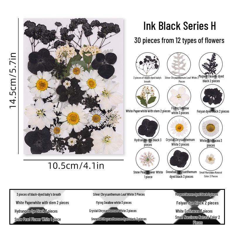 DIY Dried Flower Specimen Sticker Set for Kids: Handmade Pressed Flower Frames & Resin Bookmark Craft Kit
