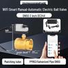 WiFi Smart Electric Ball Valve with Remote Control Timer for Automatic Irrigation