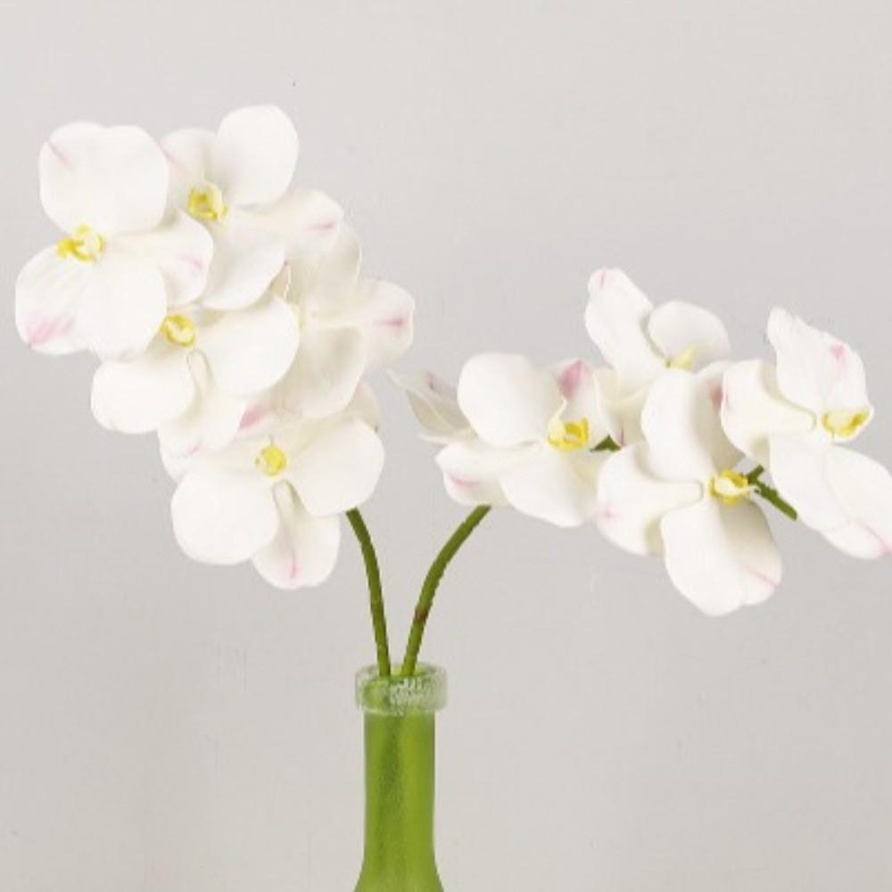 Echte Berührung Simulation Große Mottenorchidee Schmetterlingsorchidee Künstlicher Blumenast Lehrertag