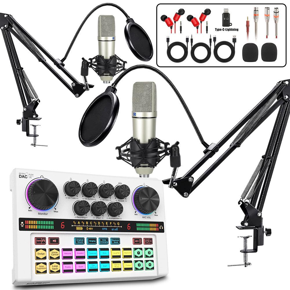 Y200 48V Zvuková karta & Rameno s mikrofonem pro živé vysílání & Podcasting