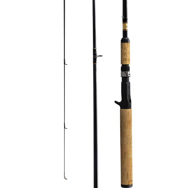 DAIWA Entry-Level Lightweight Lure Fishing Rod