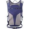 Рюкзак Salomon Trailblazer 10 marazine blue/ghost gray (LC2183000)