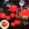 OEING Solar Persimmon String Lights