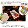 Tarot Premium Edition Pocket Size Tarot of Waite Premium Edition Instructions for Japanese Manual 78 Cards Rider-Waite A.E. Pocket, Reading, Included,