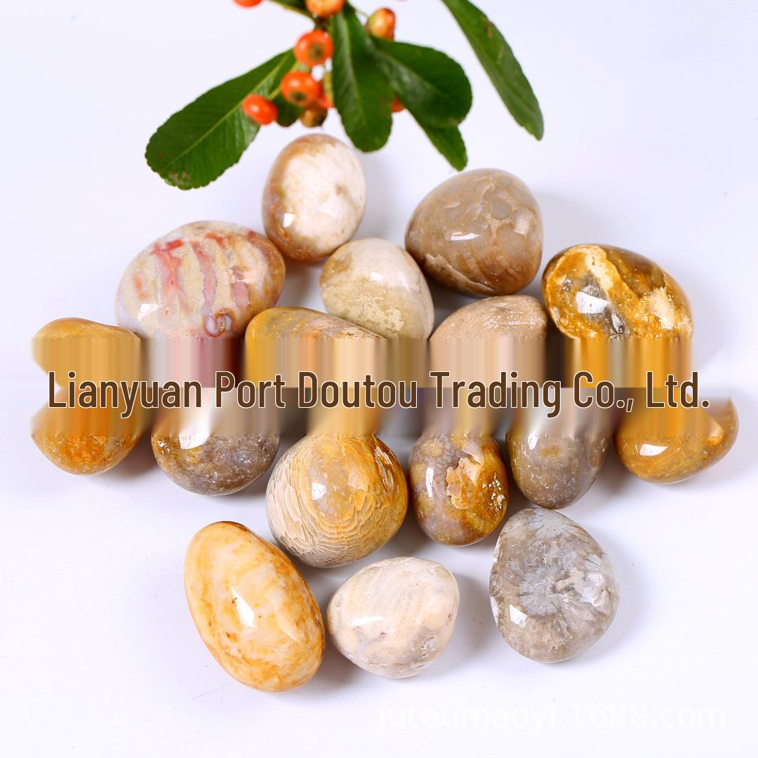 

Chrysanthemum Stone Large Beads Incense Holder & Natural Coral Bead Playset for Kids Ore Digging & Fish Tank Decor