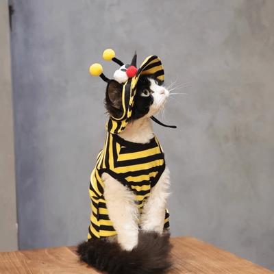 Lightweight Pet Bee Costume Breathable Bee Cosplay Clothes Funny Bee Themed Cat Outfit Set  Travel