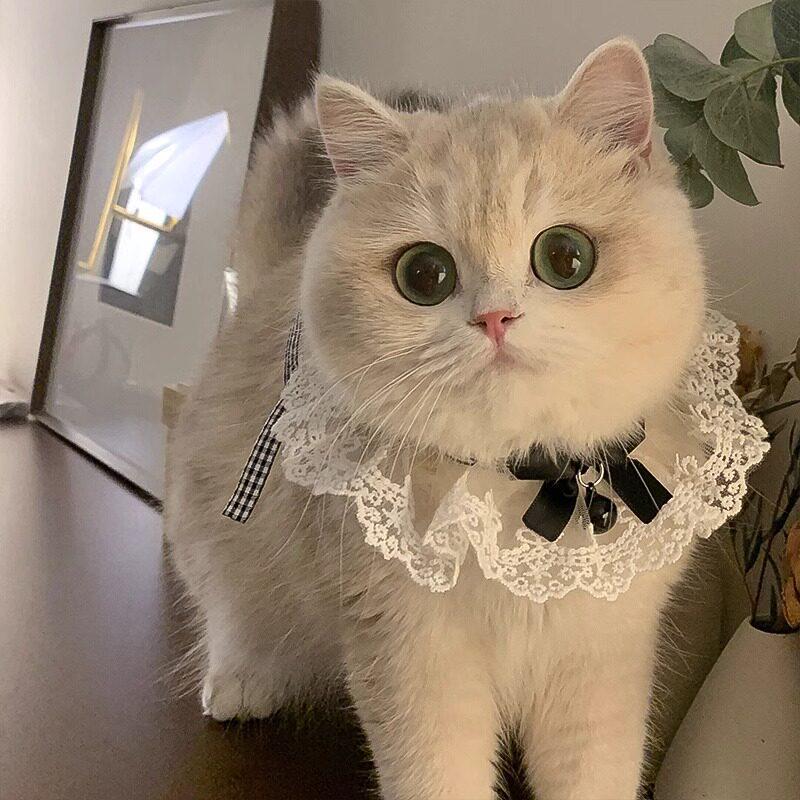 Cat & Dog Bow Tie Scarf - Cute Pet Neck Bib & Ornament