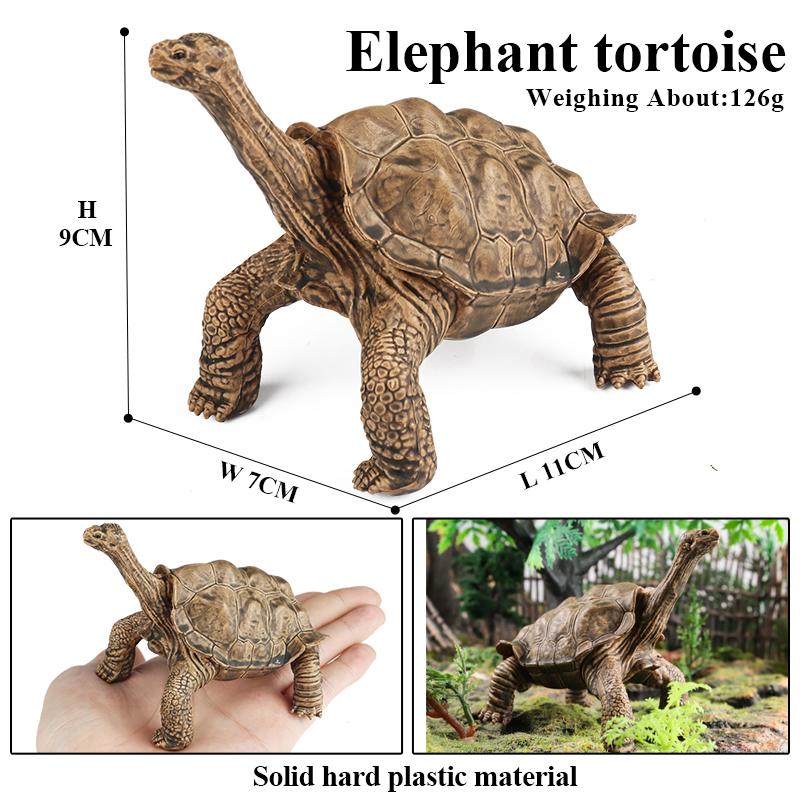 Oenux Sea Life Animals Model Leatherback Tortoise Turtle Growth Cycle Ocean Figurines Action Figures PVC Collection Kid Toy Gift