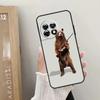 Cartoon Grizzly Bear Case For OnePlus Nord CE 5 2 3 4 Lite N20 N30 OnePlus 15 13 12 10 R 13T 10T 11 9 10 Pro Cover