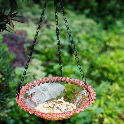 Pet Bird Feeder Outdoor Hanging Pet Food Dispenser Bird Feeder Foot Feeding Tool for Flying Animals