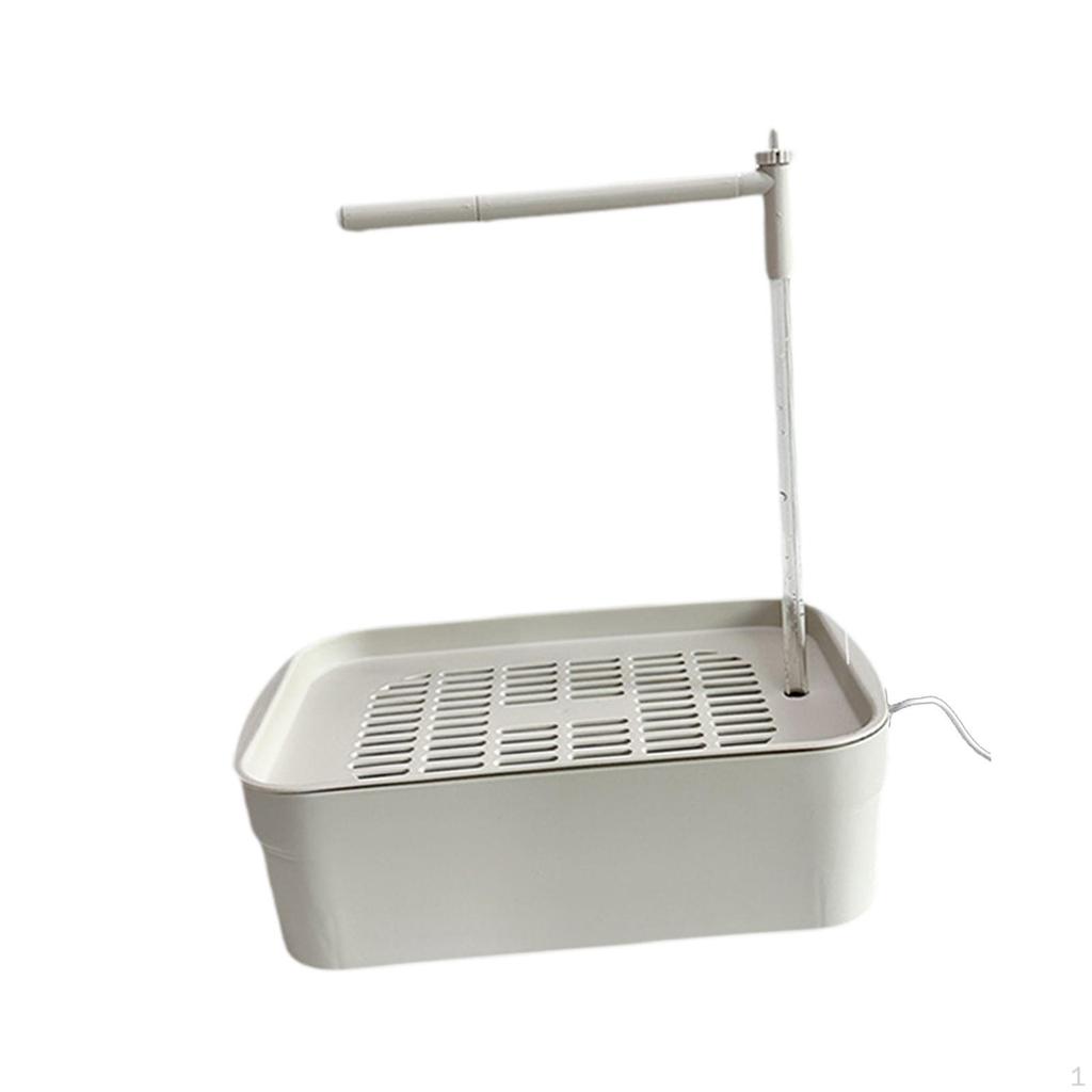 Automatic Bird Bath Tub Shower with Running Water for African Grey